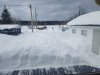 back yard dub3.jpg