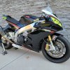 rsv41.jpg