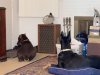 IMG_3524.jpeg
