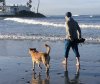 IMG_5536.jpeg