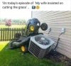 1707843333725.jpeg