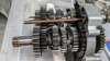 rs250-cup-trans-sm.jpg
