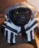 beetlepug.jpg