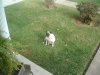 DSCF0771.JPG