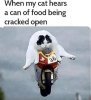 my-cat-hears-can-food-being-crac.jpg_attachment_cache_bust=5045112&quality=85&strip=info.jpg
