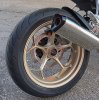 IMG_4246.jpeg