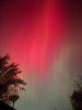 IMG_5676.jpeg