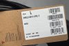 IMG_6091.jpeg