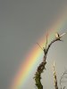 IMG_3130.jpeg