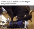 IMG_6233.jpeg