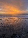 IMG_5881.jpeg