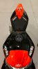 IMG_2852 (1).JPG