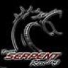 Team Serpent