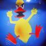 duck62