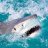 sharkattack